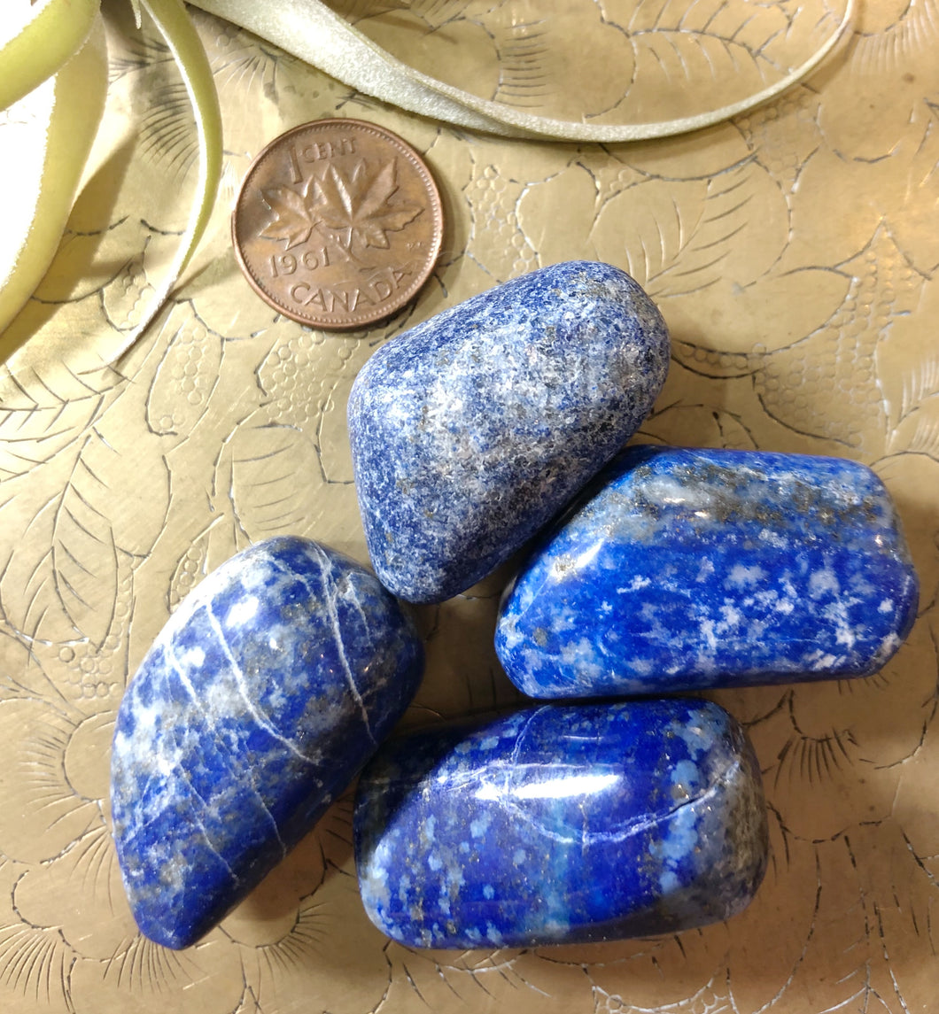 Lapis Lazuli Tumbled Gemstone Large