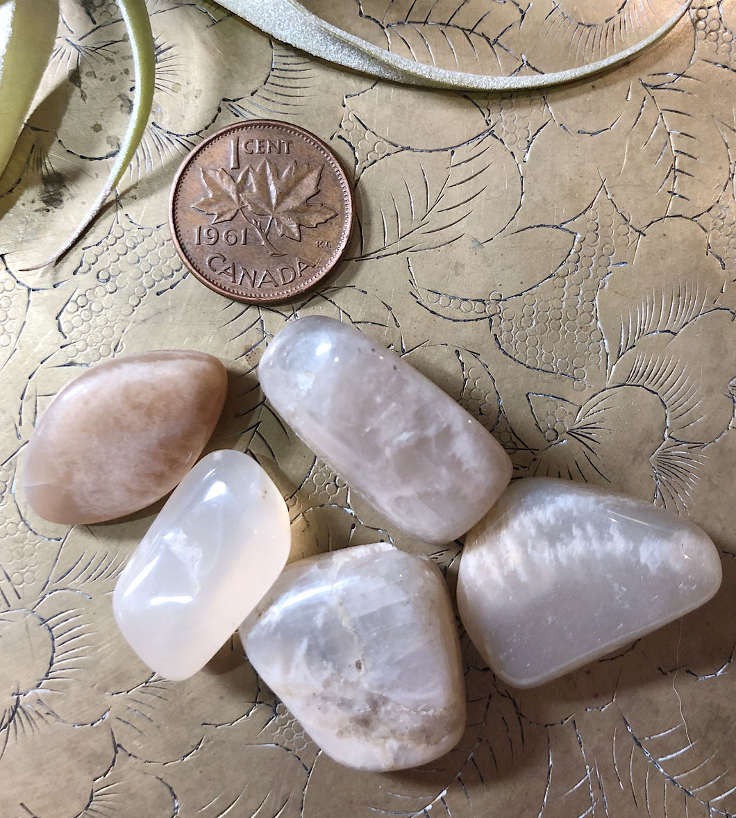 Moonstone Tumbled Gemstone