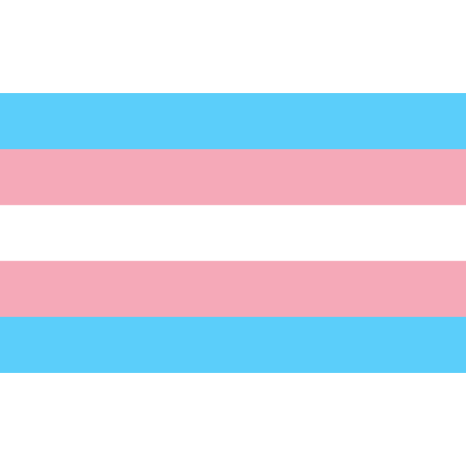 Trans Flag Magnet