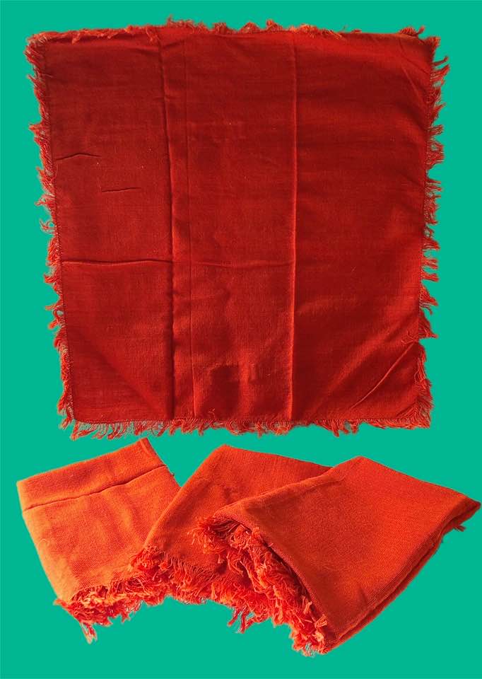 Vintage Orange Napkins (Set of 4)