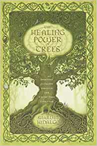 The Healing Power of Trees: Spiritual Journeys Through the Celtic Tree Calendar [Sharlyn Hidalgo]