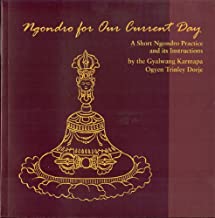 Ngondro for Our Current Day:A Short Ngondro Practice and Its Instructions [Gyalwang Kamapa Ogyen Trinley Dorje]