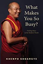 What Makes You So Busy?: Finding Peace in the Modern [Khenpo Sodargye]