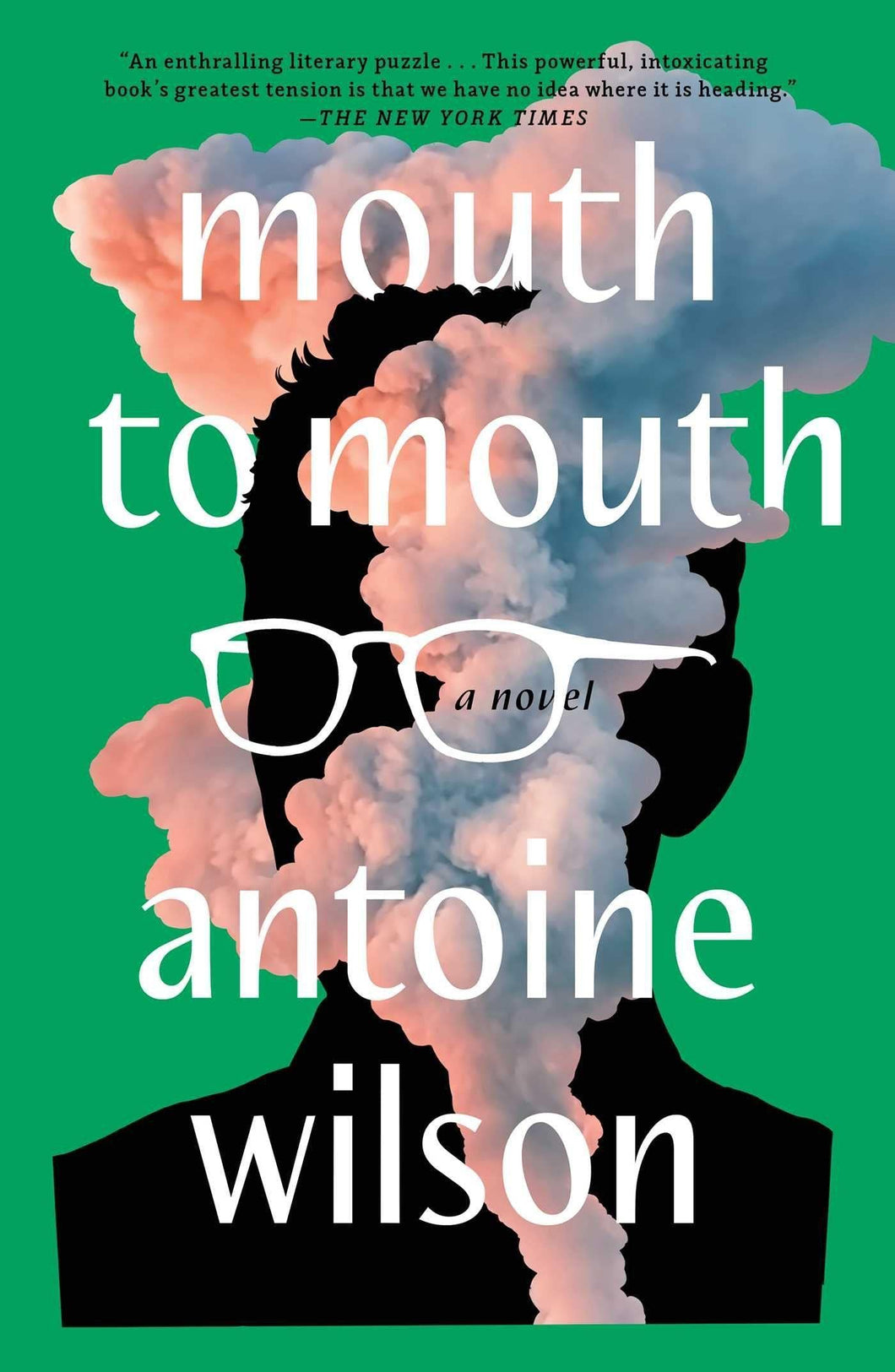 Mouth To Mouth: A Novel [Antoine Wilson]
