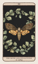 Load image into Gallery viewer, Woodland Wardens: A 52-Card Oracle Deck &amp; Guidebook [Jessica Roux]
