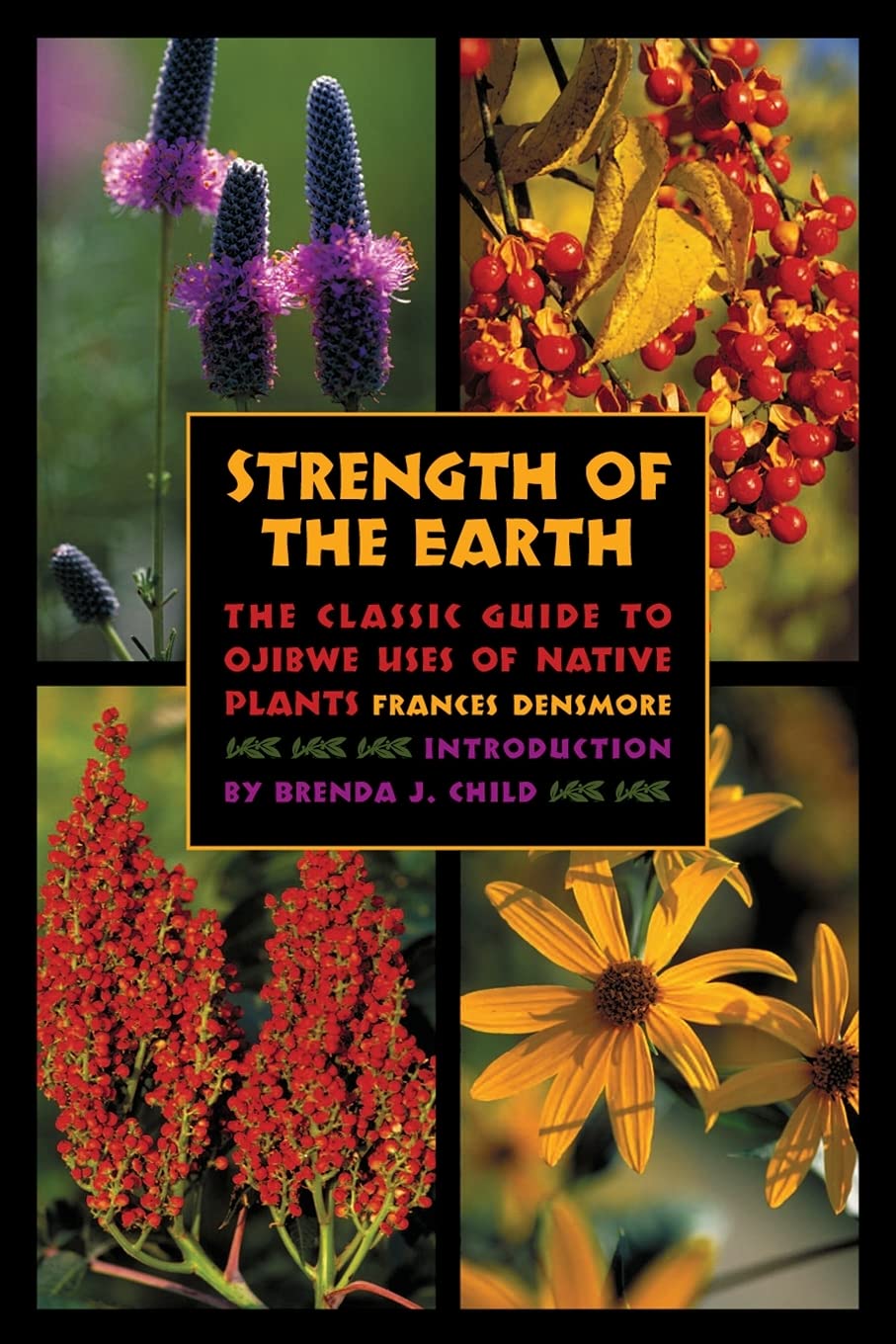 Strength of the Earth: The Classic Guide to Ojibwe Uses of Native Plants [Frances Densmore]