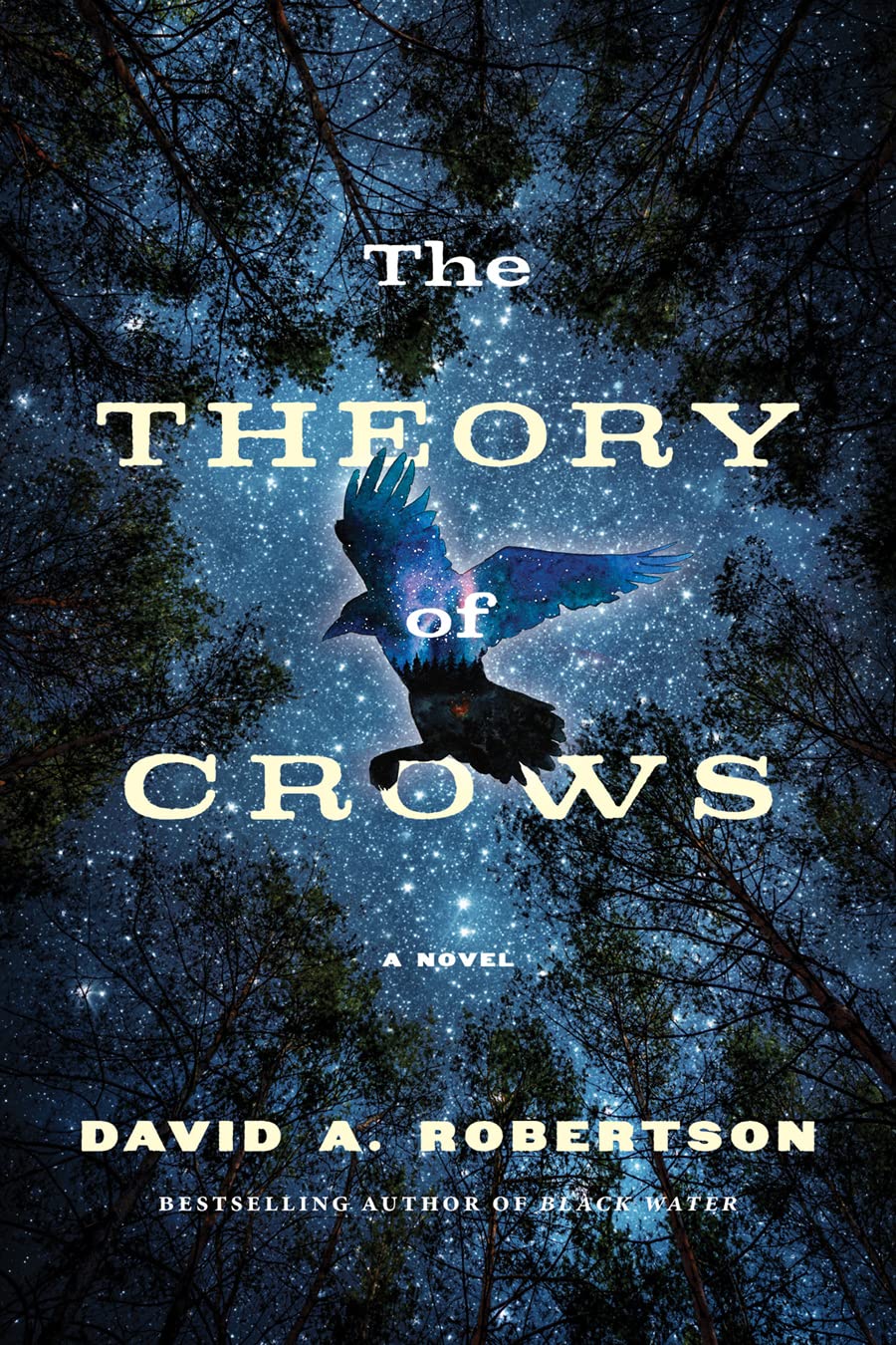 The Theory of Crows [David A. Robertson]