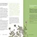 Load image into Gallery viewer, Herbal Handbook: 50 Profiles In Words And Art From The Rare Book Collections Of The New York Botanical Garden [The New York Botanical Garden]
