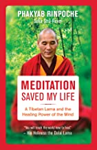 Meditation Saved My Life: A Tibetan Lama and the Healing Power of the Mind [Phakyab Rinpoche]