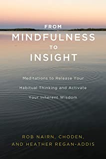 From Mindfulness To Insight [Rob Nairn, Choden, and Heather Regan-Addis]