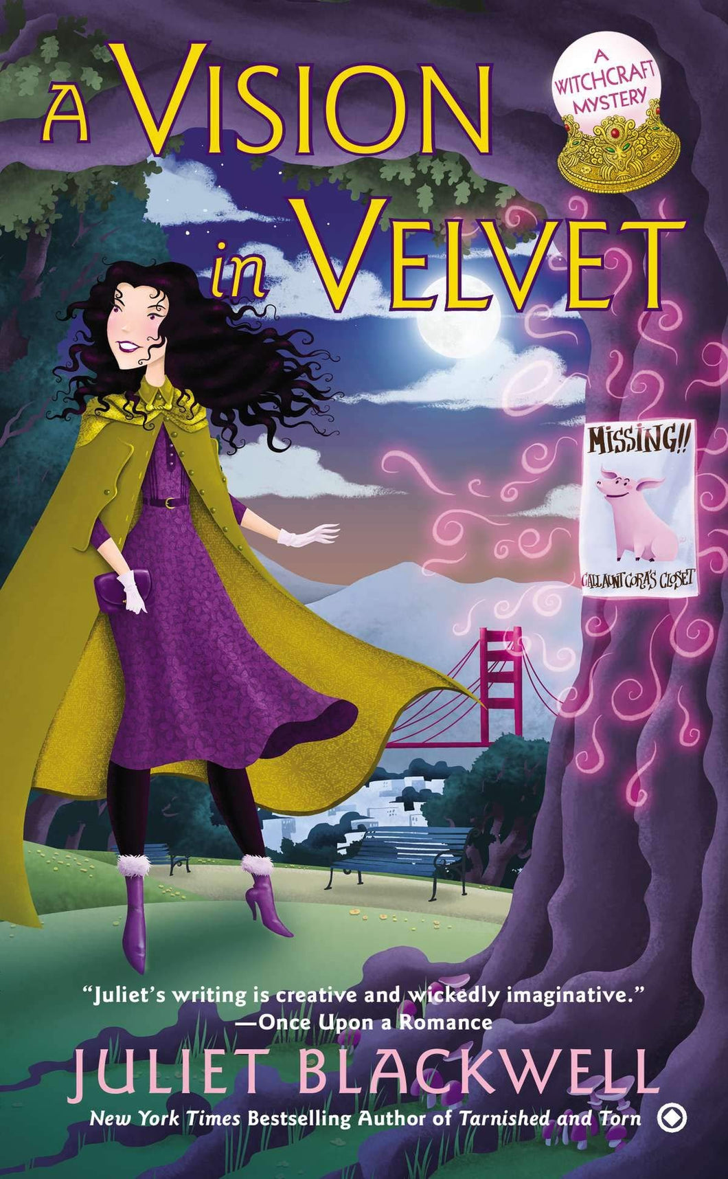 A Vision in Velvet: A Witchcraft Mystery [Juliet Blackwell]