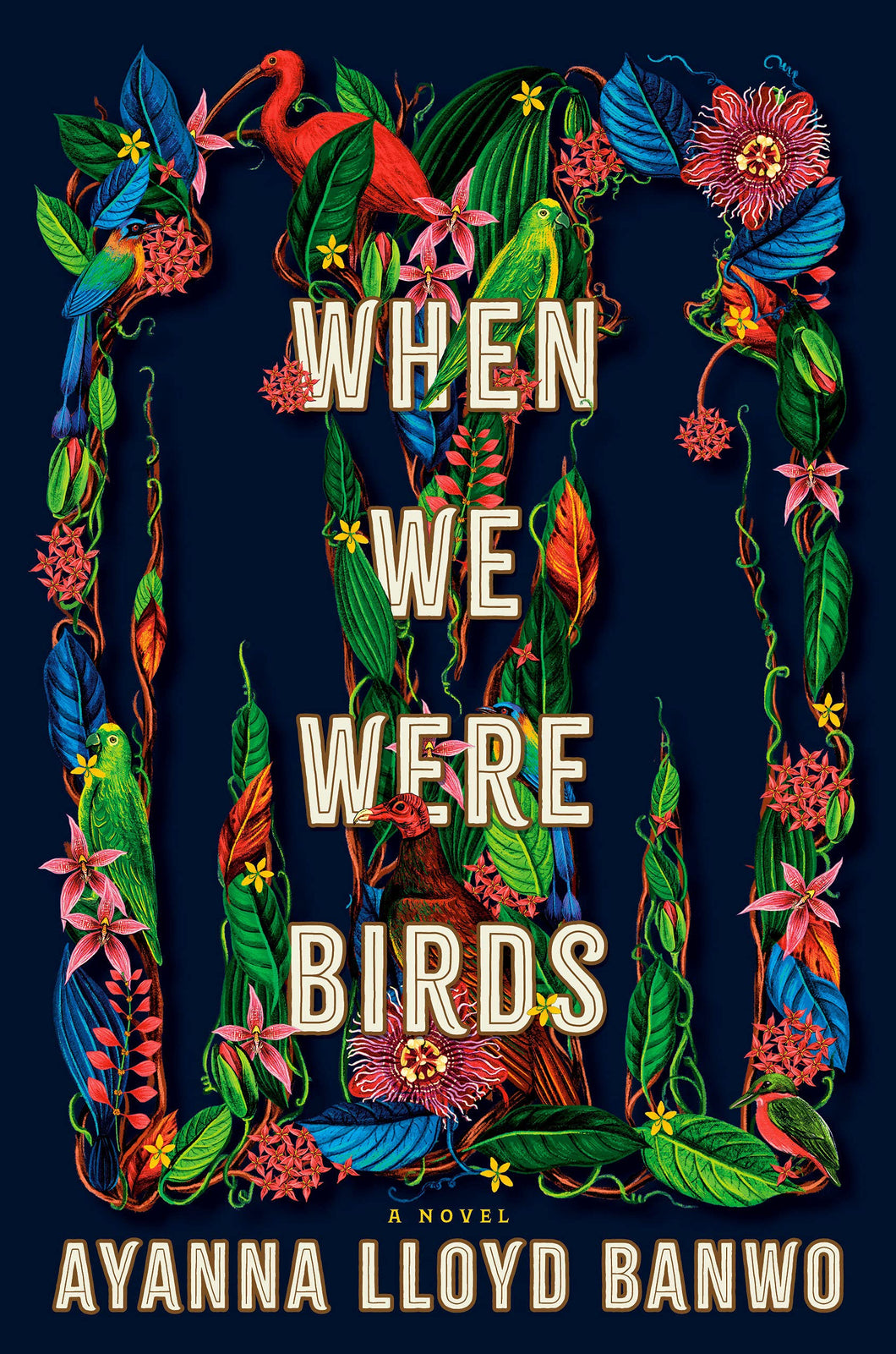 When We Were Birds [Ayanna Lloyd Banwo]