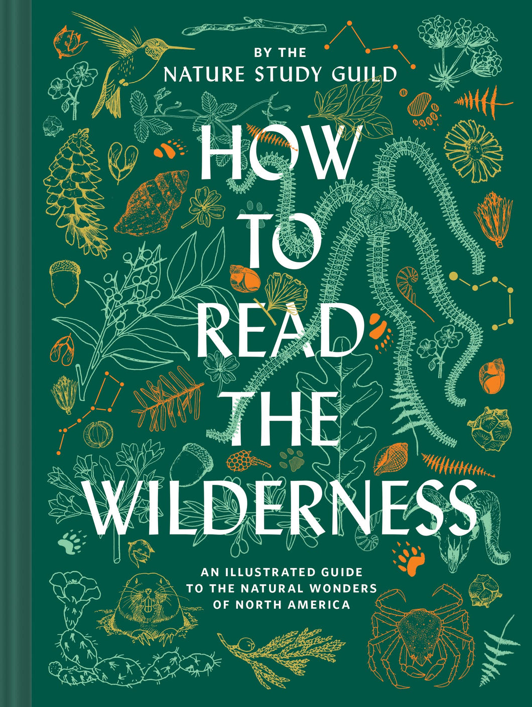 How To Read The Wilderness [Nature Study Guide]