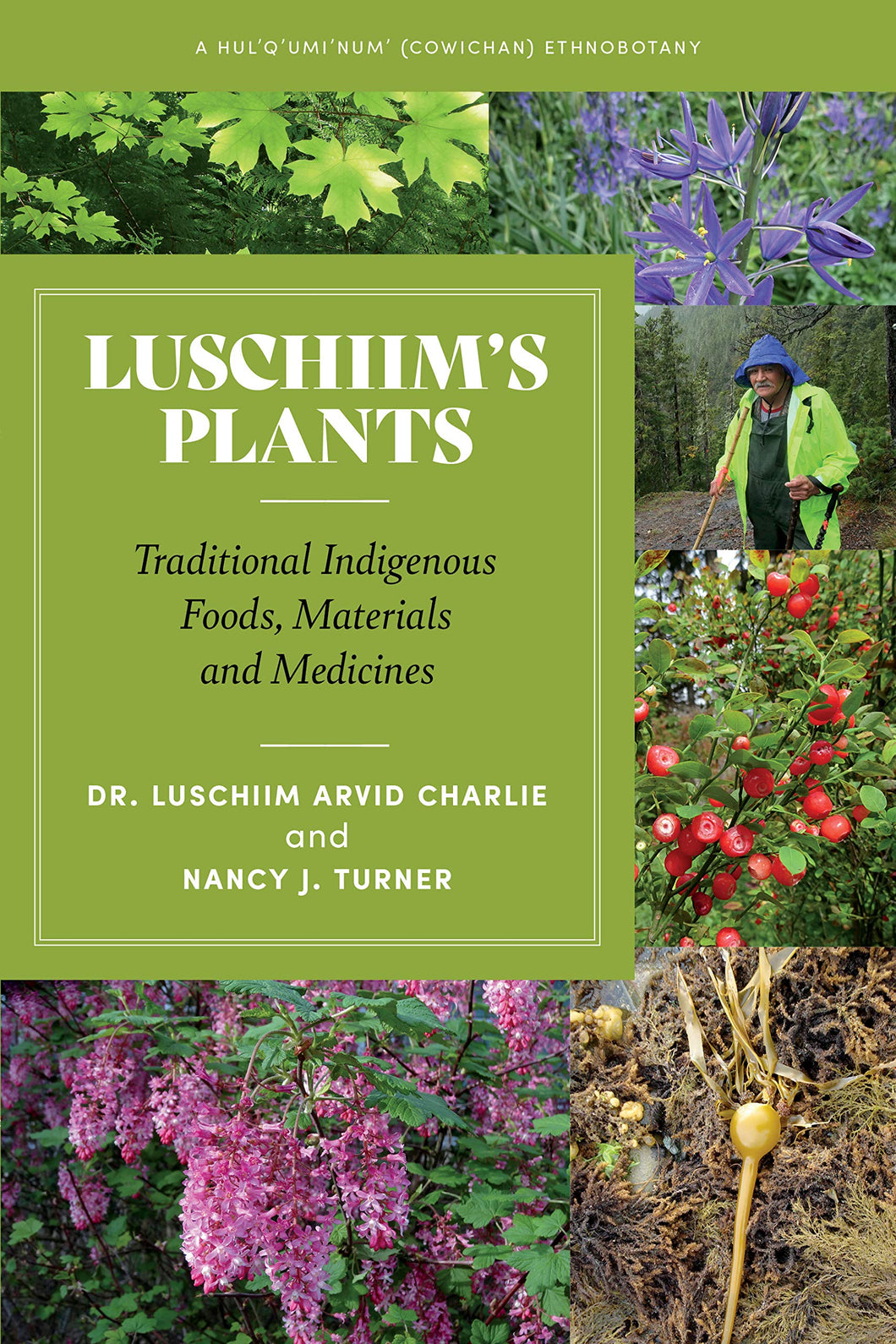 Luschiim’s Plants: Traditional Indigenous Foods, Materials and Medicines [Luschiim Arvid Charlie & Nancy J. Turner]