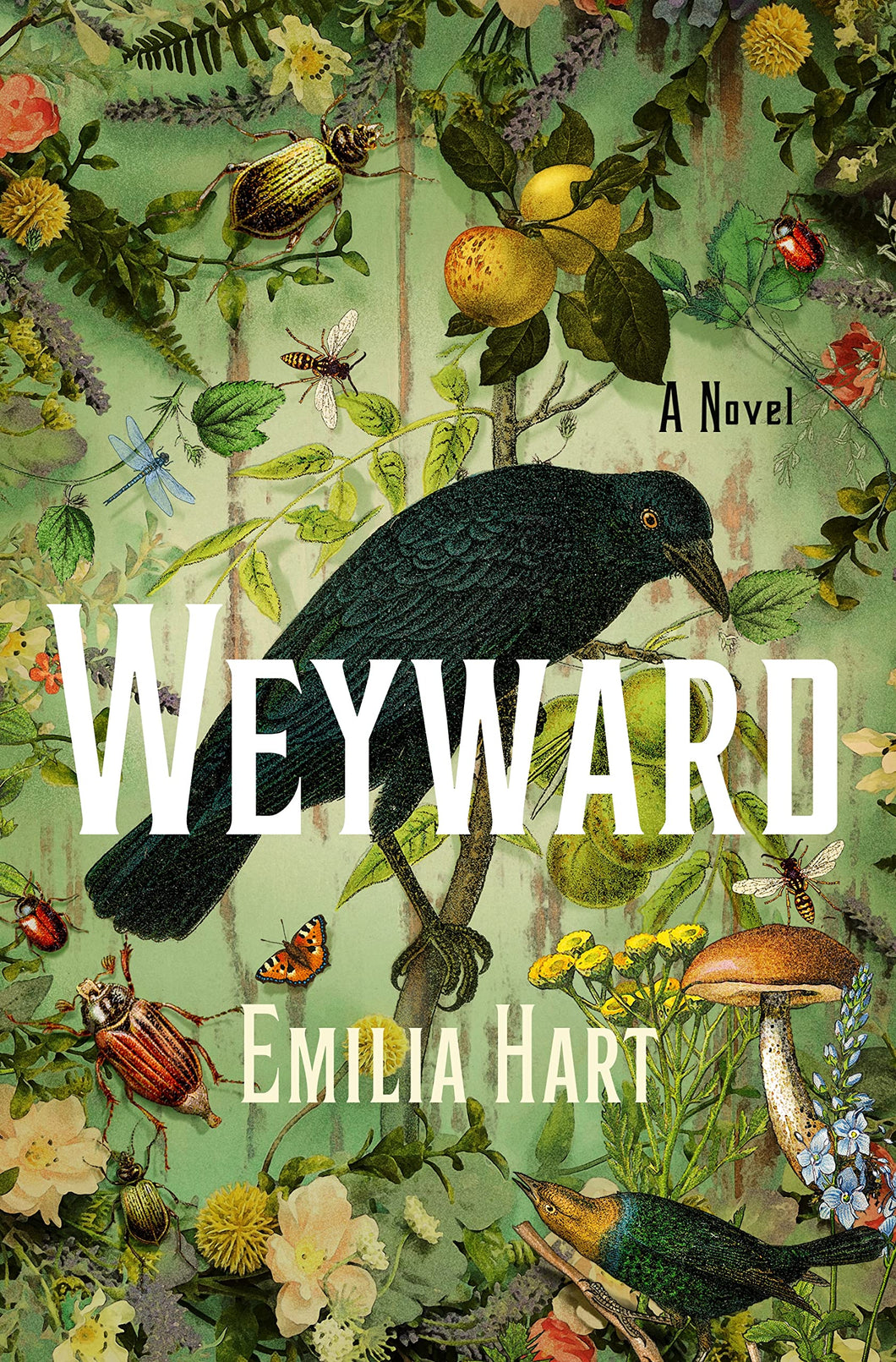 Weyward [Emilia Hart]