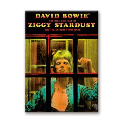 David Bowie Magnet - Ziggy Stardust