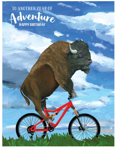 Buffalo on a Bike Birthday