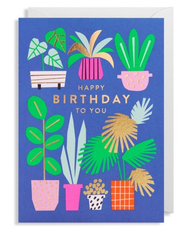 Happy Birthday To You (Plants)