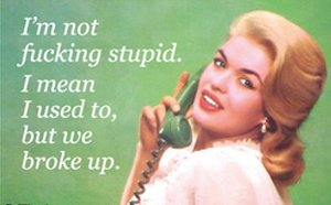 I'm Not Fucking Stupid Magnet