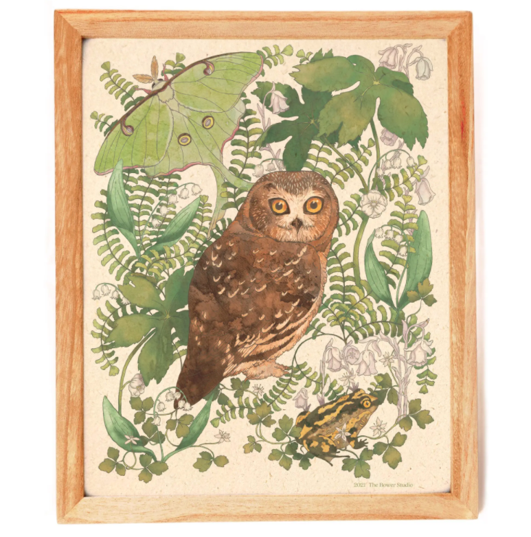 Moonlit Forest Owl Print