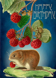 Raspberry Mouse Birthday