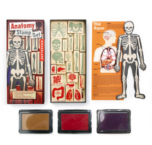 Load image into Gallery viewer, Anatomy Stamp Set
