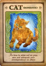 Load image into Gallery viewer, Messages From Your Animal Spirit Guides Cards [Steven D. Farmer]

