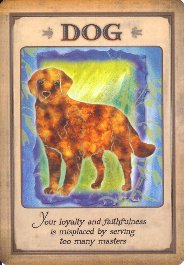 Messages From Your Animal Spirit Guides Cards [Steven D. Farmer]